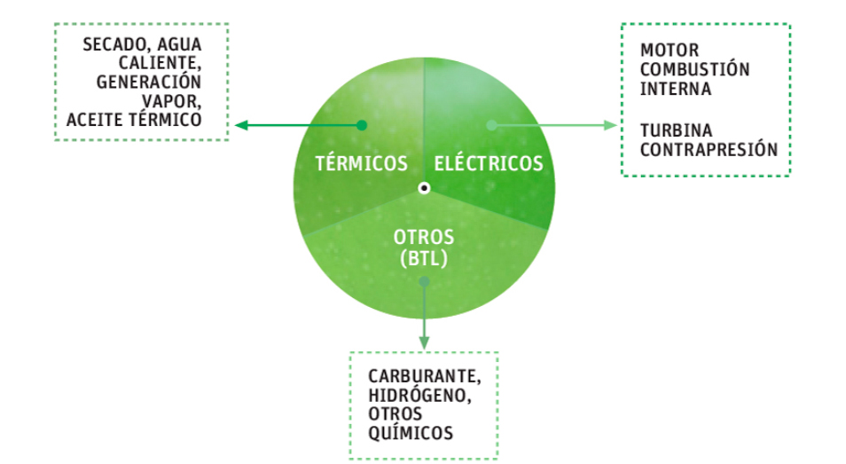 Careco Energy proceso gasificación