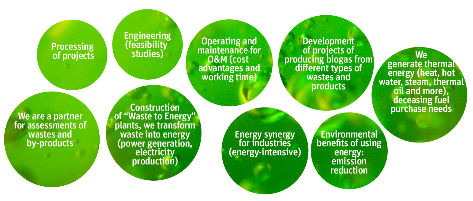 CARECO-ENERGIA-SERVICIOS
