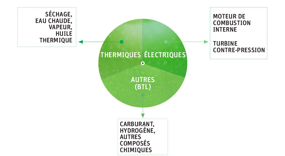 Careco Energy proceso gasificación